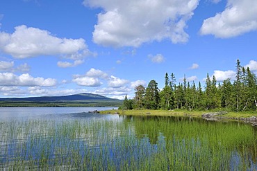 Lake landscape near Oestersund, Sweden, Scandinavia, Europe