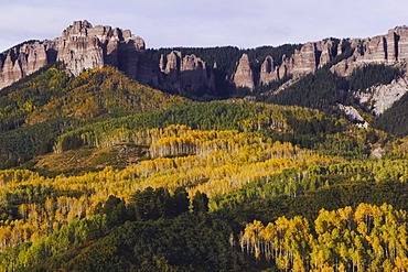 Mountain peak and Aspen trees with fall colors, Uncompahgre National Forest, Colorado, USA