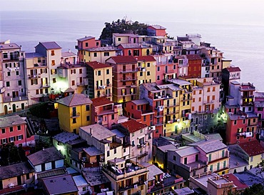 Colourful houses in the evening in Manarola, Italy, Europe