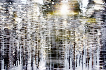 Driving along a winter forest at the Brocken mountain, Saxony-Anhalt, Germany