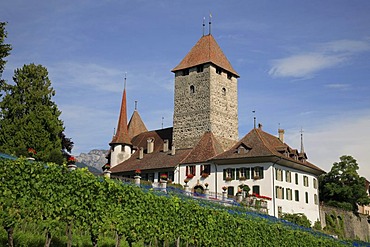 Spiez Castle in Spitz by Lake Thun, Niedersimmental, canton of Berne, Switzerland, Europe