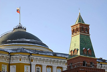 Dome of the Russian Senate building, Kremlin, Moscow, Russia