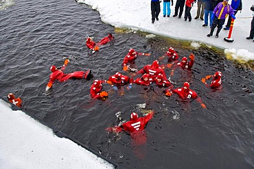 People swimming in the polar sea, Kemi, Lapland, Finland, Europe