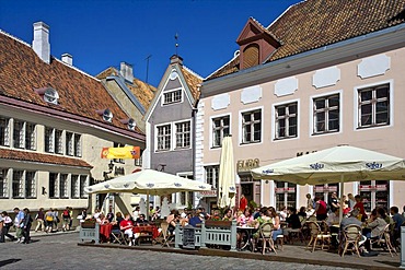 Cafe, town hall square, historic centre of Tallinn, Estonia, Baltic States, North Europe