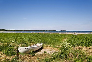 Boat in the reed, Altja fishing village, Lahemaa National Park, Baltic Sea, Estonia, Baltic States, North Europe