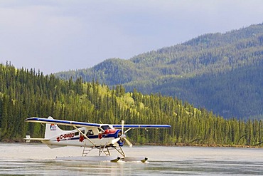 Taxiing, legendary de Havilland Canada DHC-2 Beaver, float plane, bush plane, Yukon River, Teslin River, Hootalinqua, Yukon Territory, Canada, North America