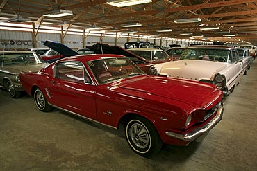 1965 V8 Ford Mustang GT Fastback in the vintage car show Country Classic Cars on the historic Route 66 in Illinois, USA