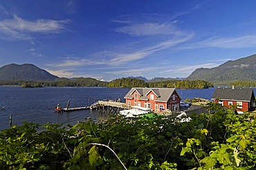 Houses on the shores of Tofino on Vancouver Island, British Columbia, Canada