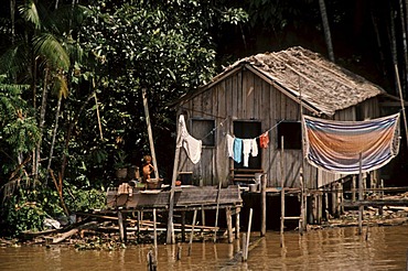 Hut on the Amazon River, Brazil, South America