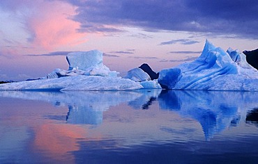 Icebergs in Prince William Sound, Alaska, USA