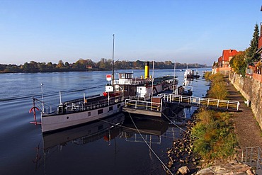 Historic steamboat Kaiser Wilhelm next to the promenade on the Elbe River in Lauenburg, Herzogtum-Lauenburg District, Schleswig-Holstein, Germany, Europe