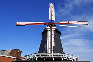 Historic windmill in Bardowick, Galleriehollaender with wind rose, Meyer's Windmuehle, Bardowick, Lueneburg district, Lower Saxony, Germany, Europe