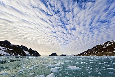 Ice, fjord, Fuglefjord, glacier, Svalbard, Spitsbergen, Norway