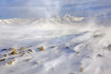 Snow storm in front of Furtschagelspitze Mountain and Grosser Moeseler Mountain, Zillertal Alps, North Tyrol, Austria, Europe