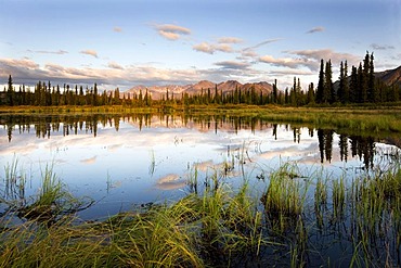 Denali Road in autumn, Alaska, USA, North America
