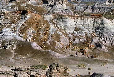 A hiker walks through part of the Painted Desert in Petrified Forest National Park, Arizona, USA