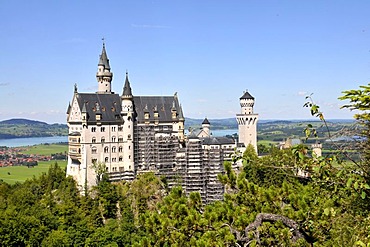 Neuschwanstein Castle with scaffolding, Allgaeu, Bavaria, Germany, Europe