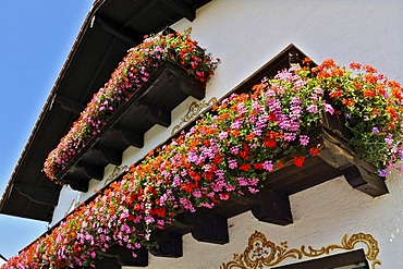 Traditional house with balconies adorned with an abundance of Geraniums (Pelargonium zonale) near Munich, Bavaria, Germany, Europe