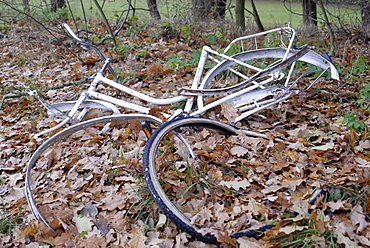 Junk bicycle left in a forest