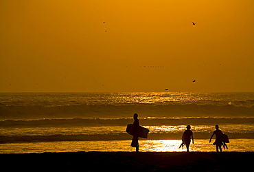 Sunset with sea gulls and three surfers at the beach from Arica, Pacific, North of Chile, South America