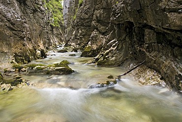 Hasels Canyon, Kalkalpen National Park, Upper Austria, Europe