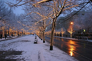 Winter in the evening, Unter den Linden, Berlin, Germany