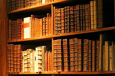 Austrian National Library, many old Books, Vienna, Austria