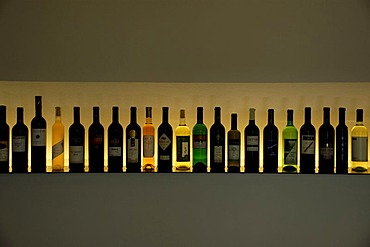 Wine bottles illuminated in a line Weinkulturhaus Gols Burgenland Austria