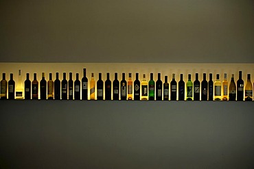 Wine bottles illuminated in a line Weinkulturhaus Gols Burgenland Austria