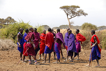 Masai men dressed in colourful capes are standing together in the savannah Amboseli National Park Kenya