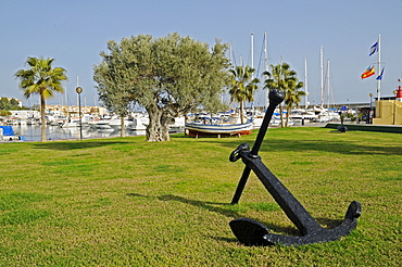 Harbour in Vila Joiosa, Villajoyosa, Alicante, Costa Blanca, Spain