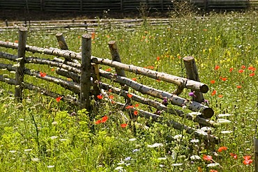 Neuhausen ob Eck district of Tuttlingen Baden-Wurttemberg Baden-Wurttemberg Germany open air museum fence