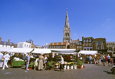 Newark on Trent Nottinghamshire England Geat Britain market place in front of the church Mary Magdalene