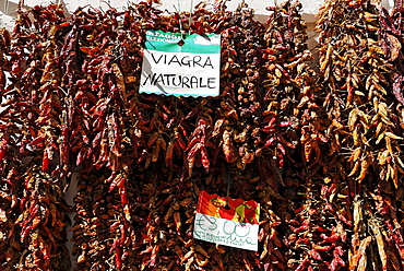 Cayenne pepper dryed Amalfi coast Campania Italy Italia chili