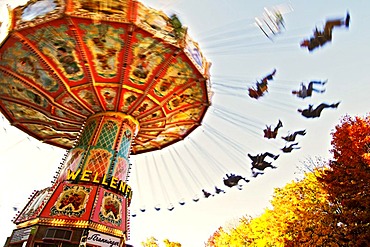 Carousel carrousel roundabout on the Auer Dult fair in Munich Bavaria Germany