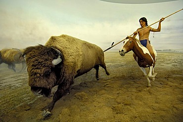 Hunting native American and Bison buffalo, Ueberseemuseum Bremen, Germany