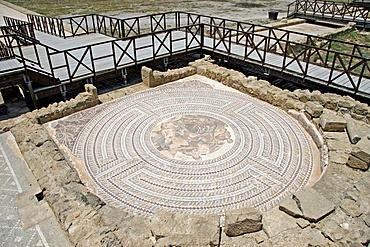 Mosaics of Paphos, Cyrus