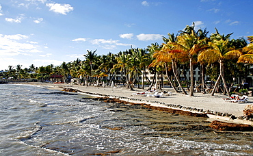 Beach, Key West, Florida, USA