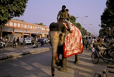 Street scene with elephant, two riding boys on an elephant, Jaipur, Rajasthan, India