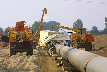 Mannheim, DEU, 23.08.2001, building of a Gas pipeline, natural gas pipeline in the Rhine level