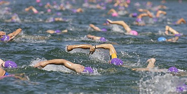 Swimmers Rhine Neckar Triathlon, Wiesensee