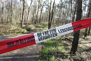 Road closed off due to logging activity, Mannheim, Baden-Wuerttemberg, Germany, Europe