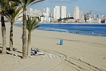 Tourist reading on the beach, Playa de Poniente, Benidorm, Costa Blanca, Spain