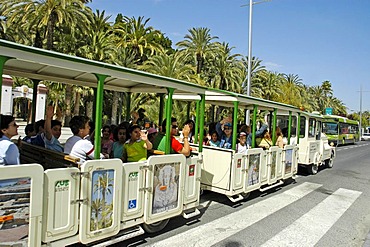 Tourist in an open slow train on a sight-seeing tour, palm grove, Elx, Elche, Costa Blanca, Spain