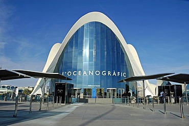 Aquarium, L`Oceanografic, City of arts and sciences, Ciudad de las Artes y las Ciencias, Valencia, Spain