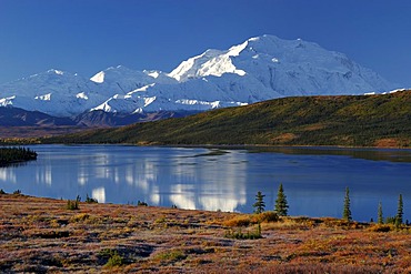 Autumn in Denali National Park Mount McKinley is mirrored in Wonderlake , Alaska , USA