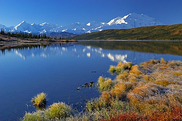 Autumn in Denali National Park Mount McKinley is mirrored in Wonderlake , Alaska , USA