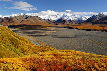 Autumn in Denali Nationalpark Alaska , USA