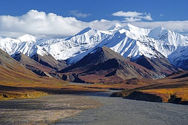 Autumn in Denali Nationalpark Alaska , USA