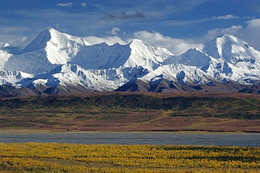 Autumn in Denali Nationalpark Alaska USA